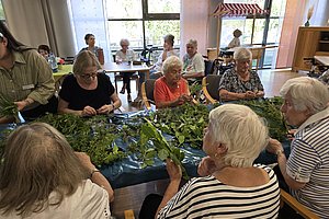 Mehrere ältere Menschen sitzen an einem Tisch und verarbeiten grüne Pflanzenblätter in einem hellen Raum mit großen Fenstern