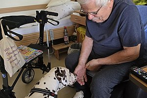 Älterer Mann sitzt auf einem Stuhl und hält die Pfote eines Dalmatiners in der Hand im Innenraum mit Rollator im Hintergrund