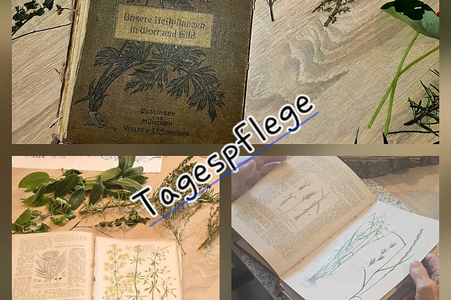 Kräuterbuch auf Tisch mit Pflanzen, Illustrationen und Händen, die durch die Seiten blättern.