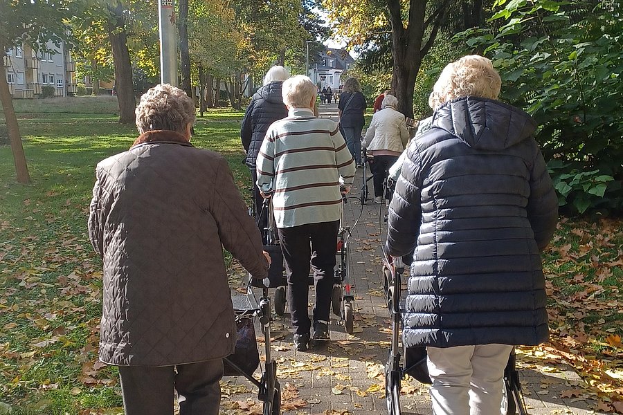 Gruppe älterer Menschen mit Rollatoren geht auf einem von Bäumen gesäumten Weg im Park