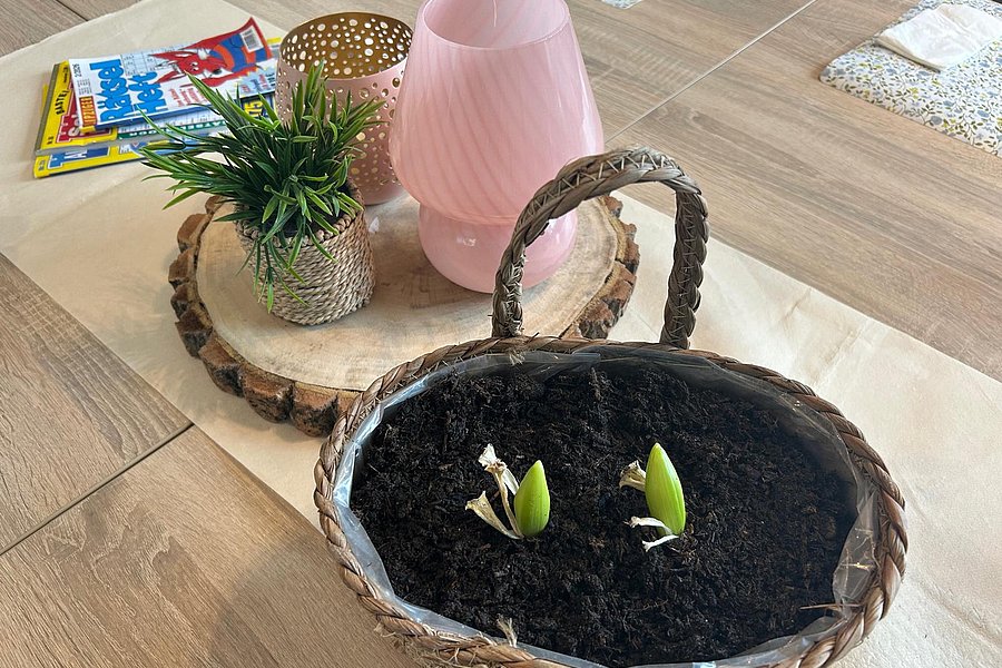 Geflochtener Korb mit Erde und zwei kleinen grünen Pflanzensprossen auf einem Holztisch neben einem Holztablett mit einer kleinen Topfpflanze, einer rosa Lampe und einer Zeitschrift