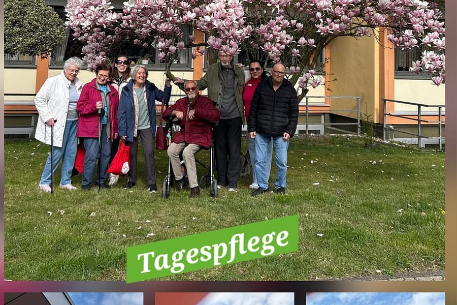 Gruppe älterer Menschen vor blühendem Baum auf Rasenfläche vor Wohngebäude und Collage mit Szenen aus Tagespflege mit älteren Menschen und Betreuern
