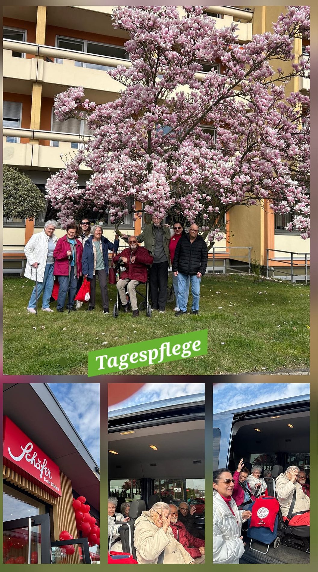 Gruppe älterer Menschen vor blühendem Baum auf Rasenfläche vor Wohngebäude und Collage mit Szenen aus Tagespflege mit älteren Menschen und Betreuern