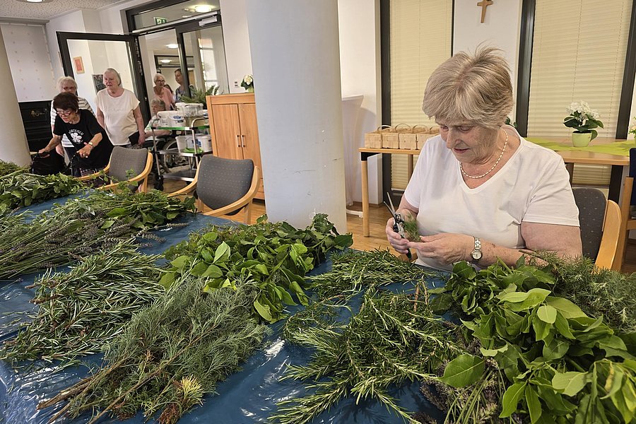 Ältere Frau sitzt an einem Tisch mit mehreren Bündeln grüner Zweige und bindet diese zusammen