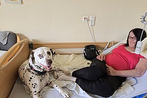 Frau mit schwarzer Brille und rotem Oberteil liegt auf einem Krankenhausbett neben einem Dalmatiner mit Halsband