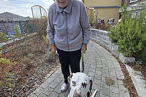 Ältere Frau mit grauem Pullover führt Dalmatiner an Leine auf gepflastertem Weg neben Haus und Garten
