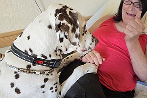 Dalmatiner sitzt auf dem Schoß einer lächelnden Frau mit rotem Oberteil und schwarzer Brille
