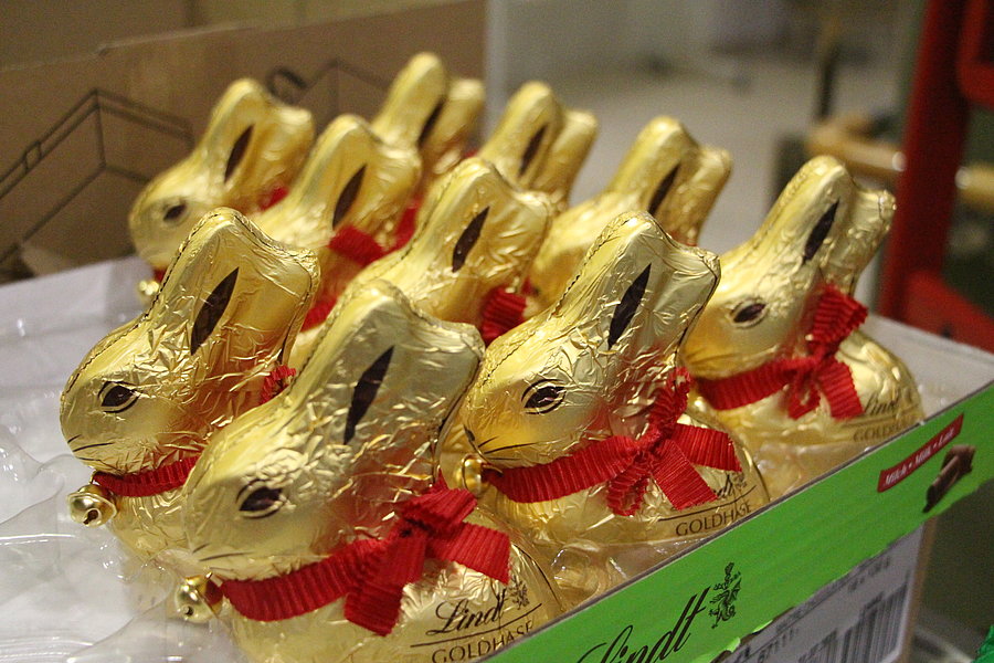 Mehrere goldene Schokoladenhasen mit roten Schleifen stehen in einer grünen Verpackung.