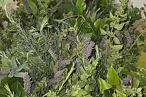 Dichter Strauß aus verschiedenen grünen Blättern und Kräutern mit einigen kleinen lila Blüten