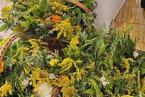 Drei geflochtene Körbe mit verschiedenen frischen Kräutern und gelben Blüten auf einem Holzboden